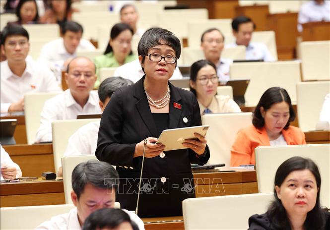 Đại biểu Quốc hội thành phố Hà Nội Dương Minh Ánh phát biểu. Ảnh: Văn Điệp - TTXVN 