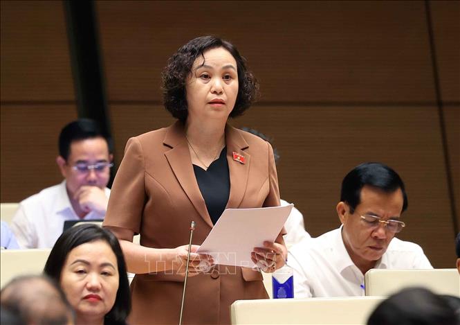 Đại biểu Quốc hội tỉnh Thanh Hóa Cao Thị Xuân phát biểu. Ảnh: Văn Điệp - TTXVN 