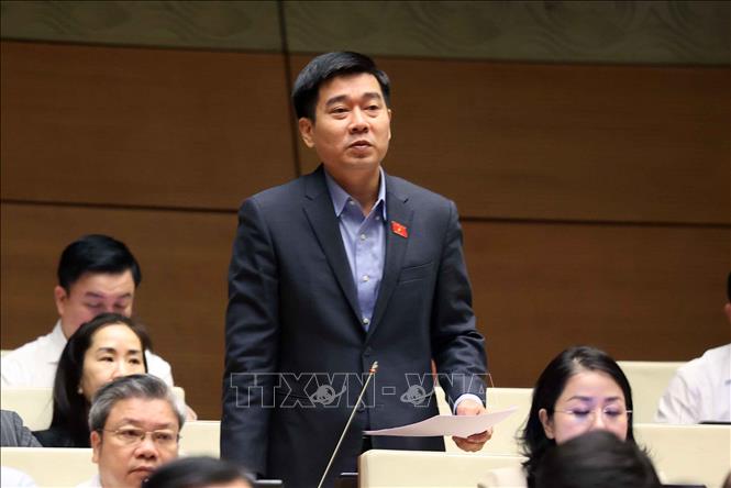 Đại biểu Quốc hội tỉnh Thanh Hóa Lê Thanh Hoàn phát biểu. Ảnh: Văn Điệp - TTXVN 