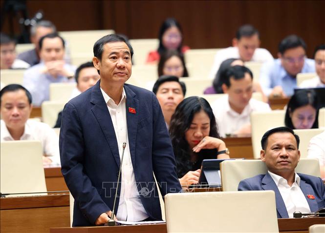 Đại biểu Quốc hội tỉnh Đắk Lắk Nguyễn Thái Học phát biểu. Ảnh: Văn Điệp - TTXVN