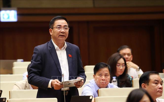 Đại biểu Quốc hội thành phố Hồ Chí Minh Nguyễn Minh Đức phát biểu. Ảnh: Văn Điệp - TTXVN