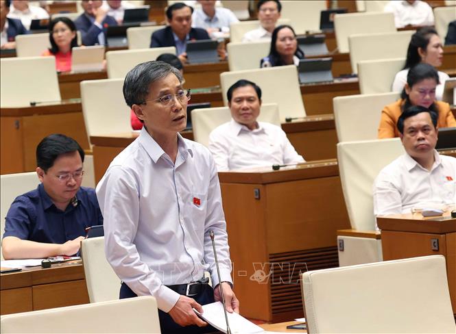 Đại biểu Quốc hội thành phố Đà Nẵng Nguyễn Khánh Ngọc phát biểu. Ảnh: Văn Điệp - TTXVN 