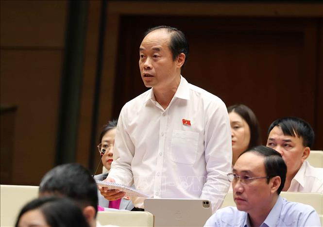 Đại biểu Quốc hội tỉnh Khánh Hòa Bùi Mạnh Cường phát biểu. Ảnh: Văn Điệp - TTXVN