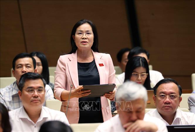 Đại biểu Quốc hội thành phố Hồ Chí Minh Trịnh Thị Hồng Hạnh phát biểu. Ảnh: Văn Điệp - TTXVN