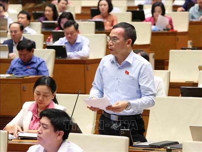 Đại biểu Quốc hội tỉnh Gia Lai Đồng Ngọc Ba phát biểu. Ảnh: Văn Điệp - TTXVN 