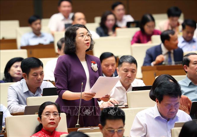 Đại biểu Quốc hội tỉnh Ninh Bình Mai Thị Phương Hoa phát biểu. Ảnh: Văn Điệp - TTXVN 