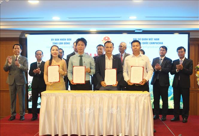 Đại diện các doanh nghiệp tỉnh Lâm Đồng và Campuchia ký kết thỏa thuận hợp tác. Ảnh: Minh Hưng – PV TTXVN tại Campuchia