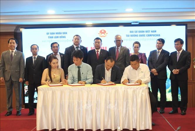 Đại diện các doanh nghiệp tỉnh Lâm Đồng và Campuchia ký kết thỏa thuận hợp tác tại Hội nghị Xúc tiến thương mại, du lịch và đầu tư tỉnh Lâm Đồng năm 2026. Ảnh: Minh Hưng – PV TTXVN tại Campuchia