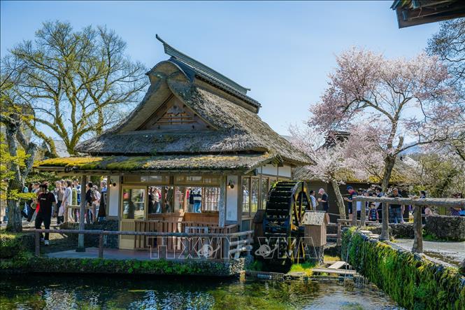 Ngôi làng giữ được kiến trúc truyền thống với nhà mái tranh, cối xay nước, cầu gỗ, tạo cảm giác như quay về Nhật Bản xưa. Ảnh: Xuân Giao – PV TTXVN tại Nhật Bản