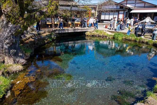 Điểm nổi bật nhất của Oshino Hakkai là 8 hồ nước tự nhiên (hakkai nghĩa là “bát hải”), hình thành từ tuyết tan của núi Phú Sĩ thấm qua lòng đất trong hàng trăm năm. Ảnh: Xuân Giao - PV TTXVN tại Nhật Bản