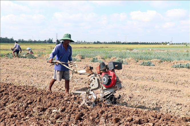 Nông dân tại phường Đại Nghĩa Thắng, phường Mỹ Xuyên làm đất chuẩn bị cho mùa vụ hoa màu sắp tới. Ảnh: Trung Kiên - TTXVN