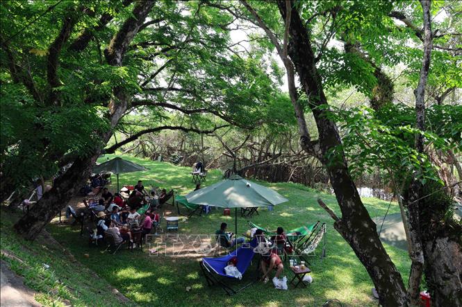 Nhiều người dân Đà Nẵng lựa chọn khu vực Vườn Cừa ở ven sông Tam Kỳ, nơi có nhiều cây xanh cổ thụ làm nơi tránh nắng oi bức những ngày hè. Ảnh: Đỗ Trưởng – TTXVN

