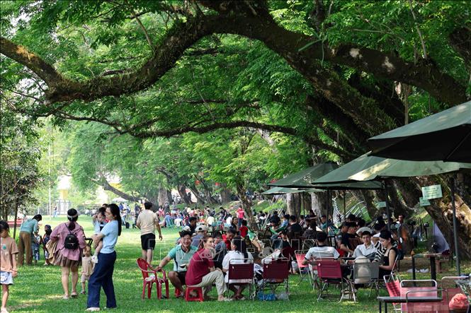 Nhiều người dân Đà Nẵng lựa chọn khu vực Vườn Cừa ở ven sông Tam Kỳ, nơi có nhiều cây xanh cổ thụ làm nơi tránh nắng oi bức những ngày Hè. Ảnh: Đỗ Trưởng – TTXVN

