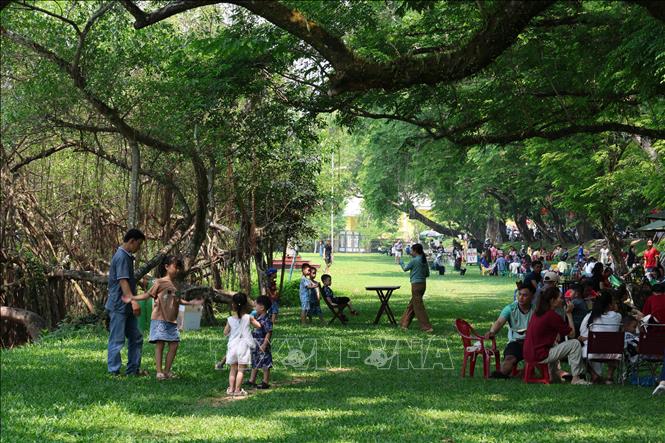 Người dân Đà Nẵng lựa chọn khu vực Vườn Cừa ở ven sông Tam Kỳ, nơi có nhiều cây xanh cổ thụ làm nơi tránh nắng oi bức những ngày Hè. Ảnh: Đỗ Trưởng – TTXVN

