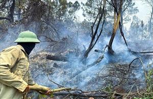 Nghệ An kịp thời dập tắt vụ cháy rừng phía sau núi Mộ Dạ