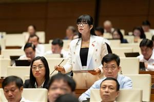 Luật Thủ đô sửa đổi: Cần cơ chế đủ mạnh để phát triển hệ thống trường công