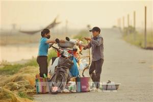 Những mảnh đời trên mặt phá Tam Giang - Bài 2: Rời đầm phá – những hành trình không giống nhau