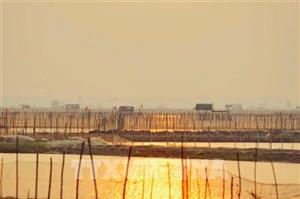 Những mảnh đời trên mặt phá Tam Giang - Bài cuối: Giữ đầm phá – mở sinh kế