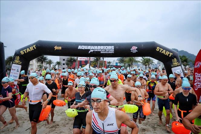 Vận động viên xuất phát nội dung bơi tại giải Aqua Warriors Hạ Long Bay năm 2026, tổ chức tại phường Hạ Long. Ảnh: Phạm Tuấn Anh - TTXVN