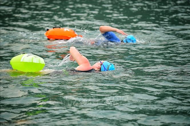 Các vận động viên thi đấu nội dung bơi trên vịnh trong khuôn khổ giải Aqua Warriors Hạ Long Bay năm 2026. Ảnh: Phạm Tuấn Anh - TTXVN