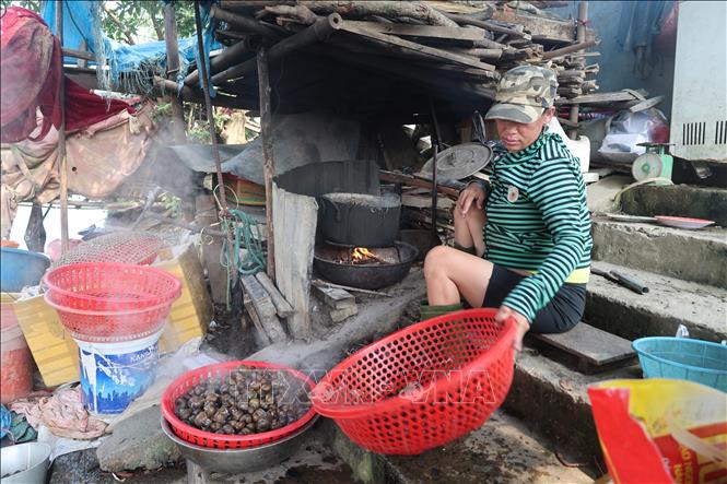 Hoàn cảnh khó khăn, chị Nguyễn Thị Cân dựng nhà chồ để sinh sống tại Tổ dân phố Lại Tân, phường Dương Nỗ, Ảnh: Kha Phạm-TTXVN.
