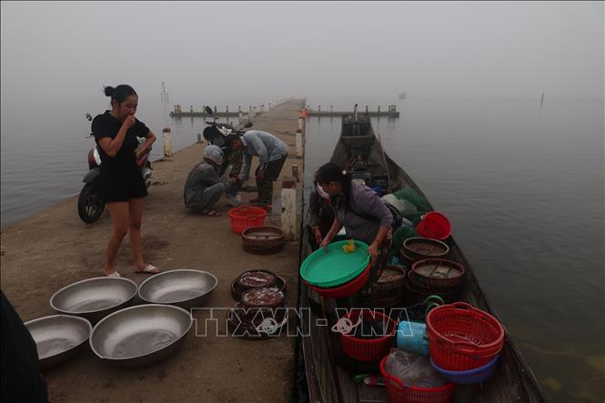 Đầm phá Tam Giang gắn với cuộc sống mưu sinh hàng ngày của bà Nguyễn Thị Tịnh (bên phải). Ảnh: Kha Phạm-TTXVN.