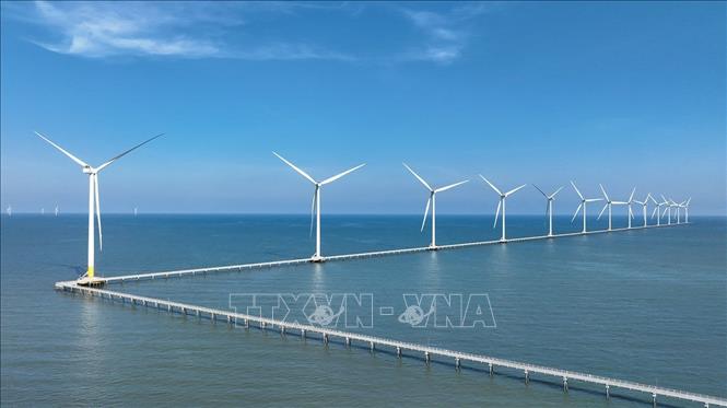 Hệ thống trụ tua bin phát điện ngoài khơi của Nhà máy điện gió Hoà Bình 1 + 2 (Công ty TNHH Đầu tư Xây dựng và Thương mại Phương Anh), ở xã Vĩnh Hậu, tỉnh Cà Mau. Ảnh: Vũ Sinh – TTXVN