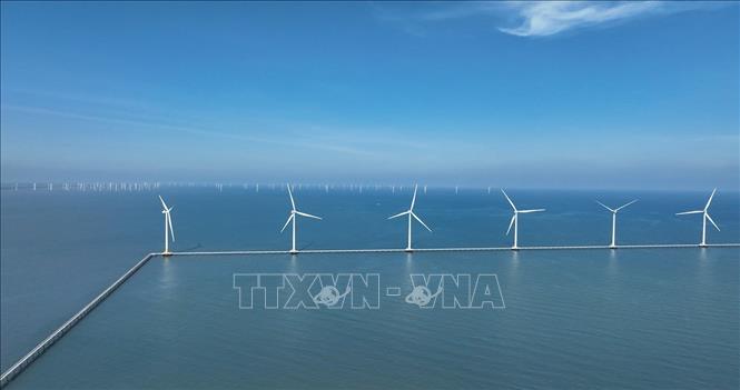 Nhà máy điện gió Hoà Bình 1 + 2 (Công ty TNHH Đầu tư Xây dựng và Thương mại Phương Anh), ở xã Vĩnh Hậu, tỉnh Cà Mau, mỗi năm 2 nhà máy sản xuất khoảng 400 triệu KWh hoà vào lưới điện góp phần đảm bảo an ninh năng lượng quốc gia. Ảnh: Vũ Sinh – TTXVN