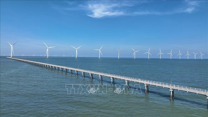 Nhà máy điện gió Hoà Bình 1 + 2 (Công ty TNHH Đầu tư Xây dựng và Thương mại Phương Anh), ở xã Vĩnh Hậu, tỉnh Cà Mau, mỗi năm 2 nhà máy sản xuất khoảng 400 triệu KWh hoà vào lưới điện góp phần đảm bảo an ninh năng lượng quốc gia. Ảnh: Vũ Sinh – TTXVN