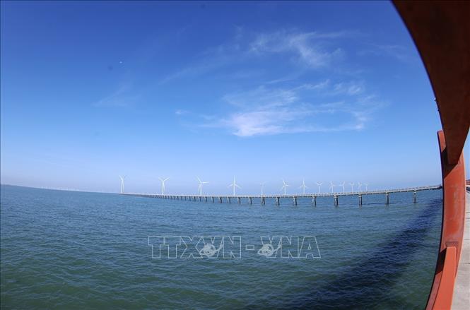 Nhà máy điện gió Hoà Bình 1 + 2 (Công ty TNHH Đầu tư Xây dựng và Thương mại Phương Anh), ở xã Vĩnh Hậu, tỉnh Cà Mau, mỗi năm 2 nhà máy sản xuất khoảng 400 triệu KWh hoà vào lưới điện góp phần đảm bảo an ninh năng lượng quốc gia. Ảnh: Vũ Sinh – TTXVN