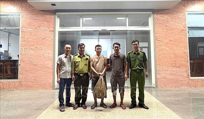 Tiếp nhận 2 cá thể Tê tê nguy cấp, quý, hiếm từ người dân. Ảnh: TTXVN phát