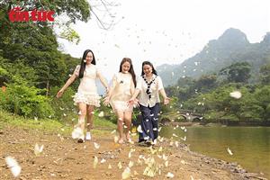 Mùa bướm rực rỡ ở Cúc Phương hút khách trải nghiệm thiên nhiên nguyên sơ
