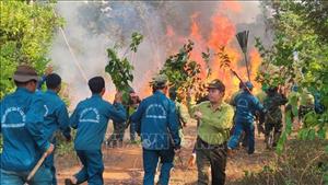 46 phường, xã nguy cơ cháy rừng cấp V, Đồng Nai khẩn trương ứng phó