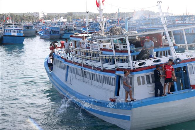 Tàu khai thác hải sản xa bờ tại đặc khu Phú Quý. Ảnh: Nguyễn Thanh - TTXVN