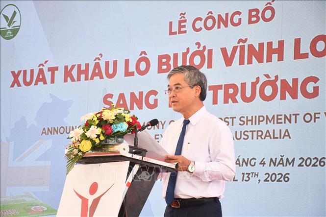 Phó Chủ tịch UBND tỉnh Vĩnh Long Châu Văn Hòa phát biểu tại Lễ cắt băng xuất khẩu lô bưởi đầu tiên sang thị trường Australia. Ảnh: Huỳnh Phúc Hậu - TTXVN