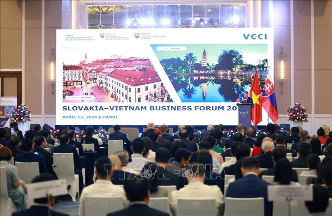 Diễn đàn doanh nghiệp Slovakia – Việt Nam năm 2026. Ảnh: Dương Giang - TTXVN