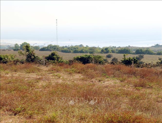 Điểm vùng lõi (thôn Vĩnh Trường, xã Phước Dinh) xây dựng Nhà máy điện hạt nhân Ninh Thuận 1. Ảnh: Công Thử - TTXVN