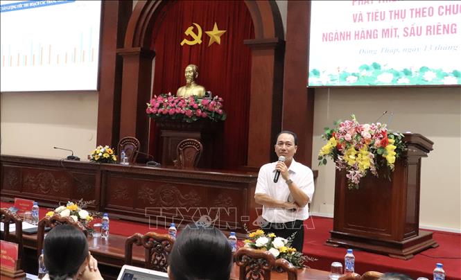 Ông Trần Thanh Tâm, Chi Cục trưởng Chi cục trồng trọt và Bảo vệ thực vật tỉnh Đồng Tháp trình bày giải pháp sản xuất chống nhiễm Cadimi và chất Vàng O trên sầu riêng. Ảnh: Hồng Nhung - TTXVN