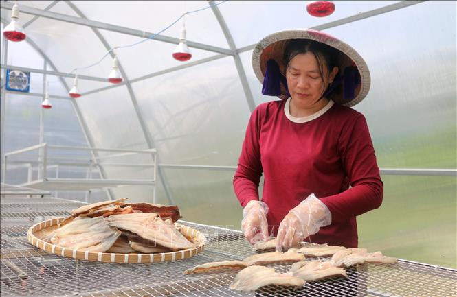 Với cách làm chuyên nghiệp, sản phẩm khô cá lóc Ngọc Nhi (ấp Bình An 2, xã Bình Hòa, tỉnh An Giang) đã tạo được thương hiệu riêng, ngày càng được khách hàng tin dùng. Ảnh: Công Mạo - TTXVN