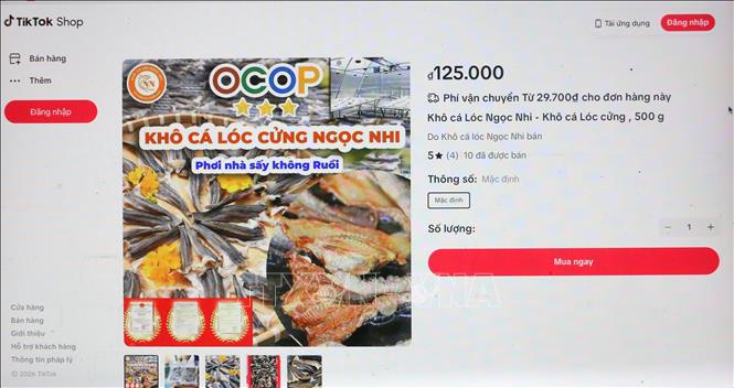 Sản phẩm khô cá lóc của hộ kinh doanh khô cá lóc Ngọc Nhi (ấp Bình An 2, xã Bình Hòa, tỉnh An Giang) có mặt trên các sàn thương mại điện tử. Ảnh: Công Mạo - TTXVN