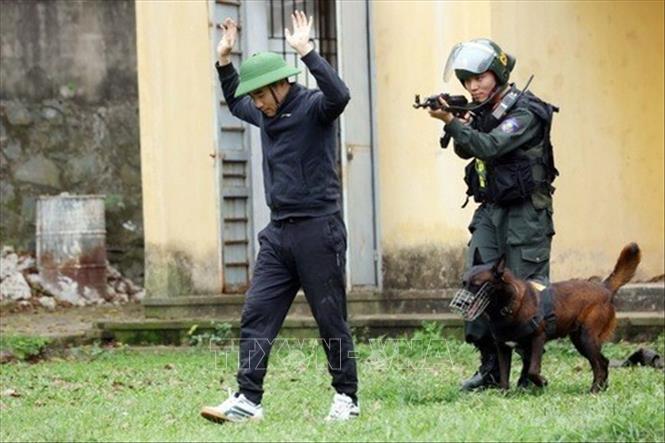 Chó nghiệp vụ tham gia truy bắt, khống chế tội phạm cùng lực lượng Cảnh sát cơ động trong tình huống giả định. Ảnh: Phạm Kiên - TTXVN