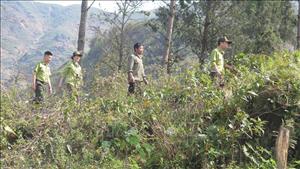 Nhiều cách làm hay phòng, chống cháy rừng mùa hanh khô