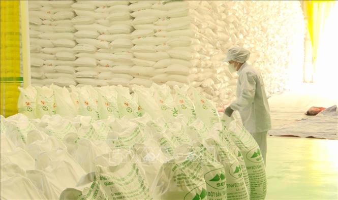 Nhà máy tinh bột sắn Hướng Hóa (Quảng Trị) muốn mở rộng thị trường nước ngoài buộc phải nhập nông sản đầu vào ở vùng nông sản có mã số vùng trồng. Ảnh: Tá Chuyên - TTXVN