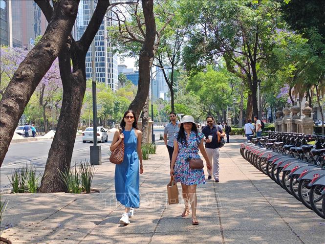 Du khách quốc tế tham quan, đi bộ trên một tuyến phố tại thủ đô Mexico City. Ảnh: Phương Lan- PVTTXVN tại Mexico