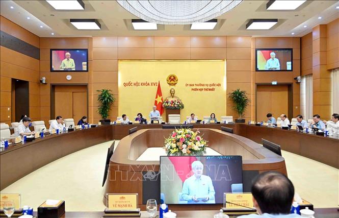 Phó Chủ tịch Thường trực Quốc hội Đỗ Văn Chiến phát biểu. Ảnh: Phạm Kiên - TTXVN