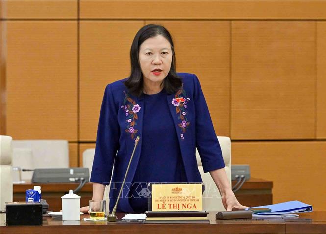 Chủ nhiệm Ủy ban Dân nguyện và Giám sát của Quốc hội Lê Thị Nga phát biểu. Ảnh: Phạm Kiên - TTXVN