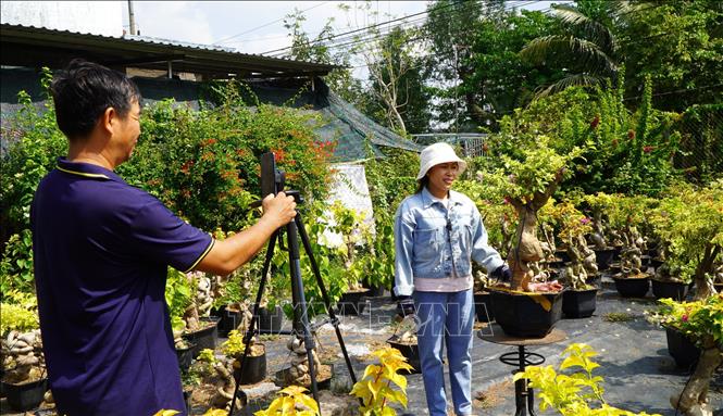 Hộ kinh doanh cây hoa giấy ở xã Tân Dương (tỉnh Đồng Tháp) ứng dụng công nghệ số, đẩy mạnh thương mại điện tử thông qua mạng xã hội. Ảnh: Nhựt An - TTXVN