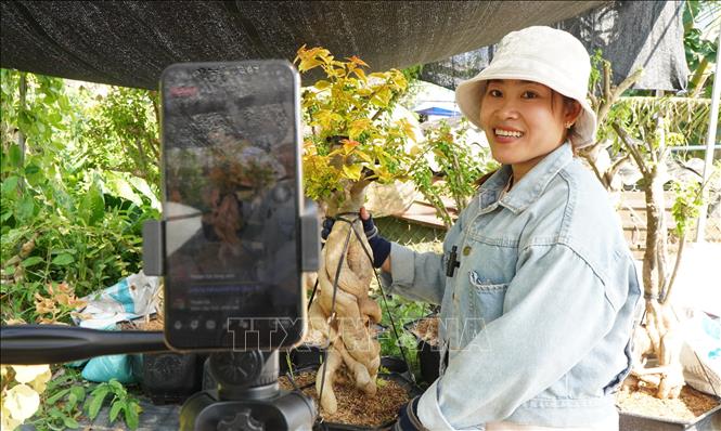 Thương mại điện tử giúp chị Trần Thị Mơ ở xã Tân Dương, tỉnh Đồng Tháp tiêu thụ hoa kiểng nhiều hơn so với lối kinh doanh truyền thống. Ảnh: Nhựt An - TTXVN