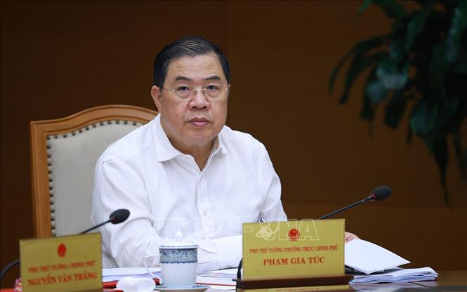 Phó Thủ tướng Thường trực Chính phủ Phạm Gia Túc phát biểu. Ảnh: Dương Giang - TTXVN