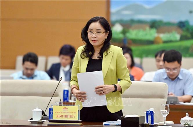 Thứ trưởng Bộ Văn hóa, Thể thao và Du lịch Trịnh Thị Thuỷ phát biểu. Ảnh: Phạm Kiên - TTXVN